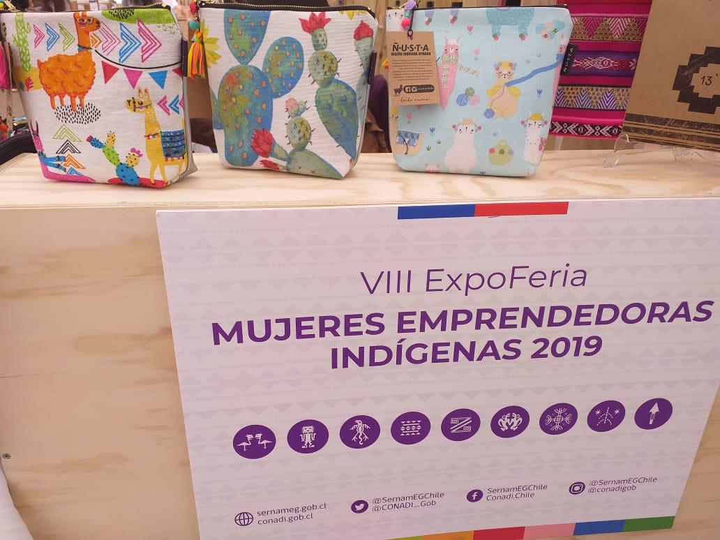 VII Feira Mulheres Empreendedoras Indígenas 2019